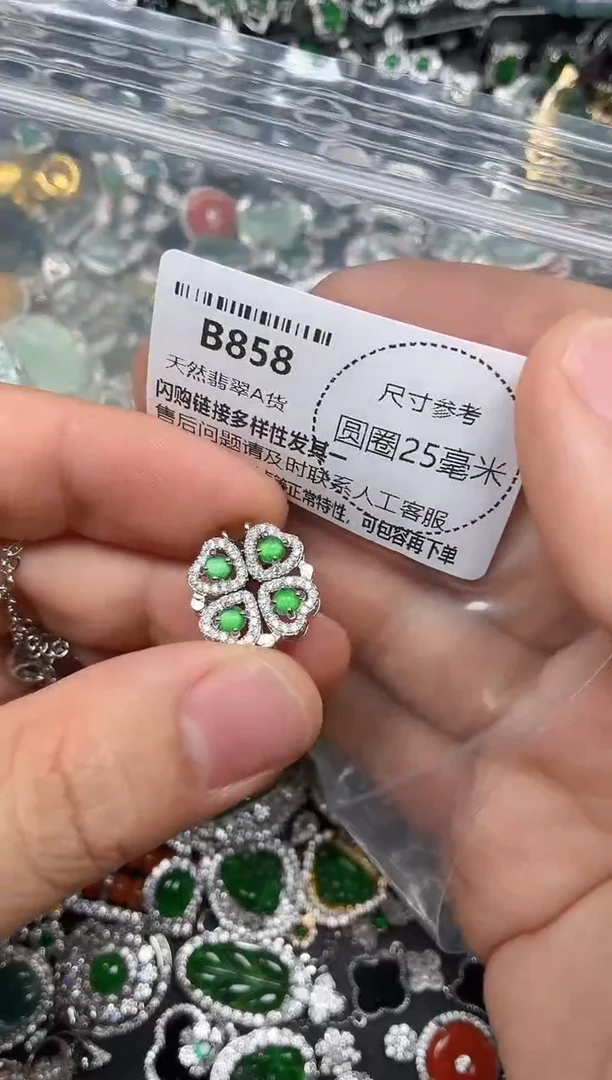翡翠未镶嵌颈饰B858项链