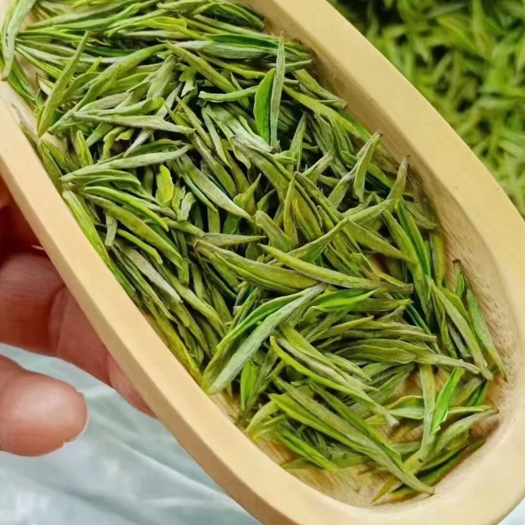 （春知雨）2024新茶明前白茶头春头采高山茶兰花香a1