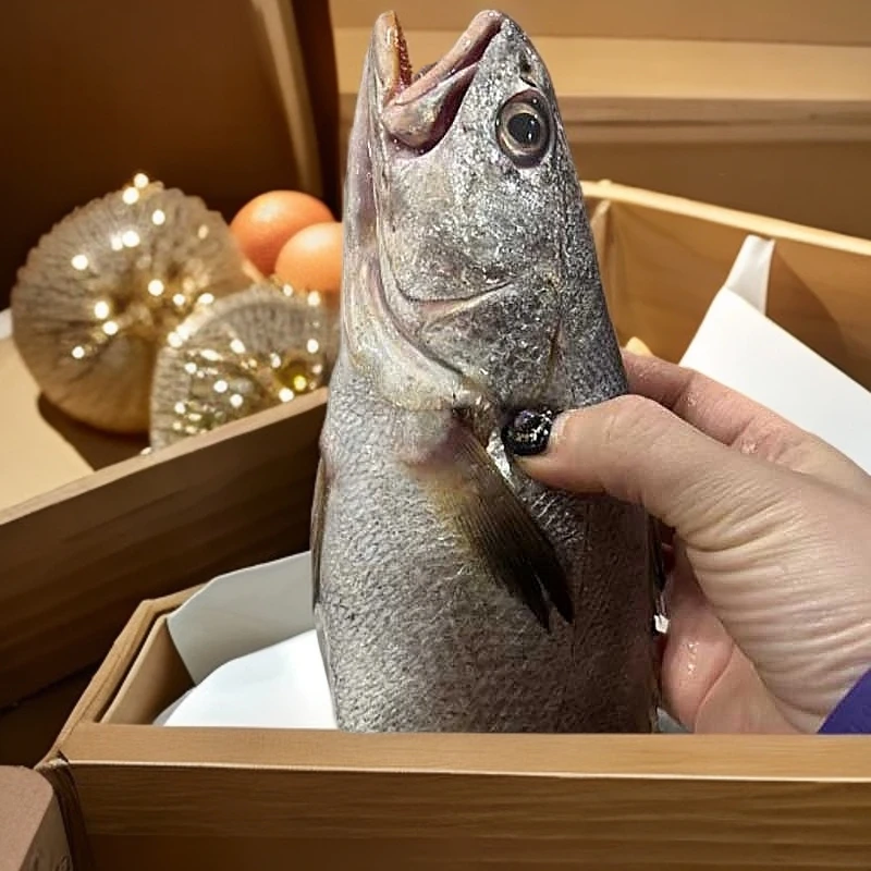 【索味】东海鮸鱼米鱼胶新鲜海鱼鲜米鱼冷冻深海鲜水产2斤起拍