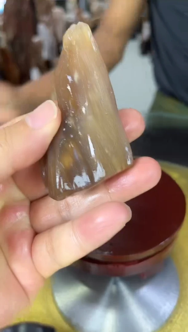 硅化玉珠宝奇石未镶嵌缅甸天然树化玉