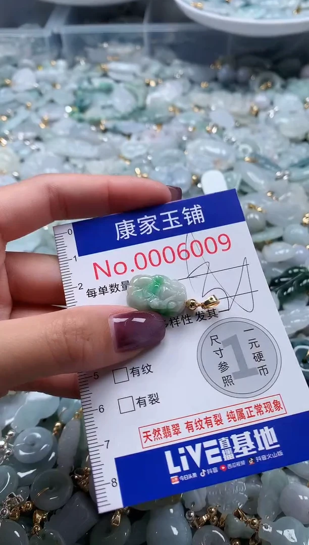 翡翠未镶嵌吊坠(不含链)6009