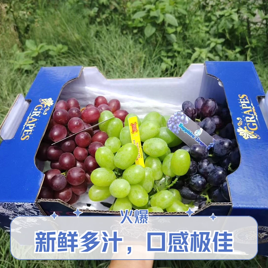 三色葡萄维多利亚+黑宝石+红玫瑰三种口味新鲜水果当季应季水果云南省