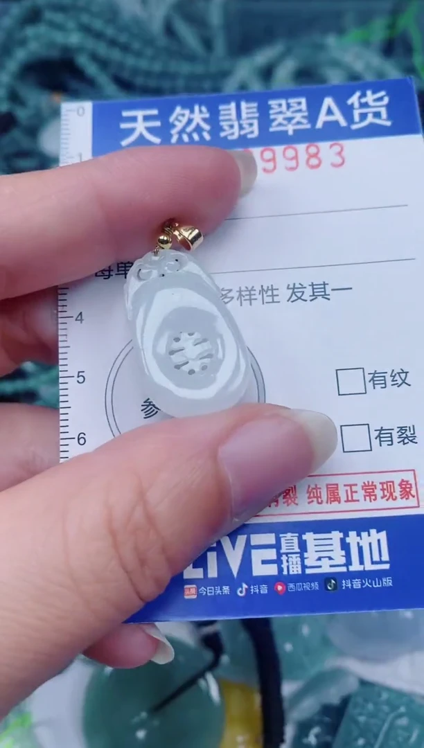 颈饰未镶嵌翡翠00009983