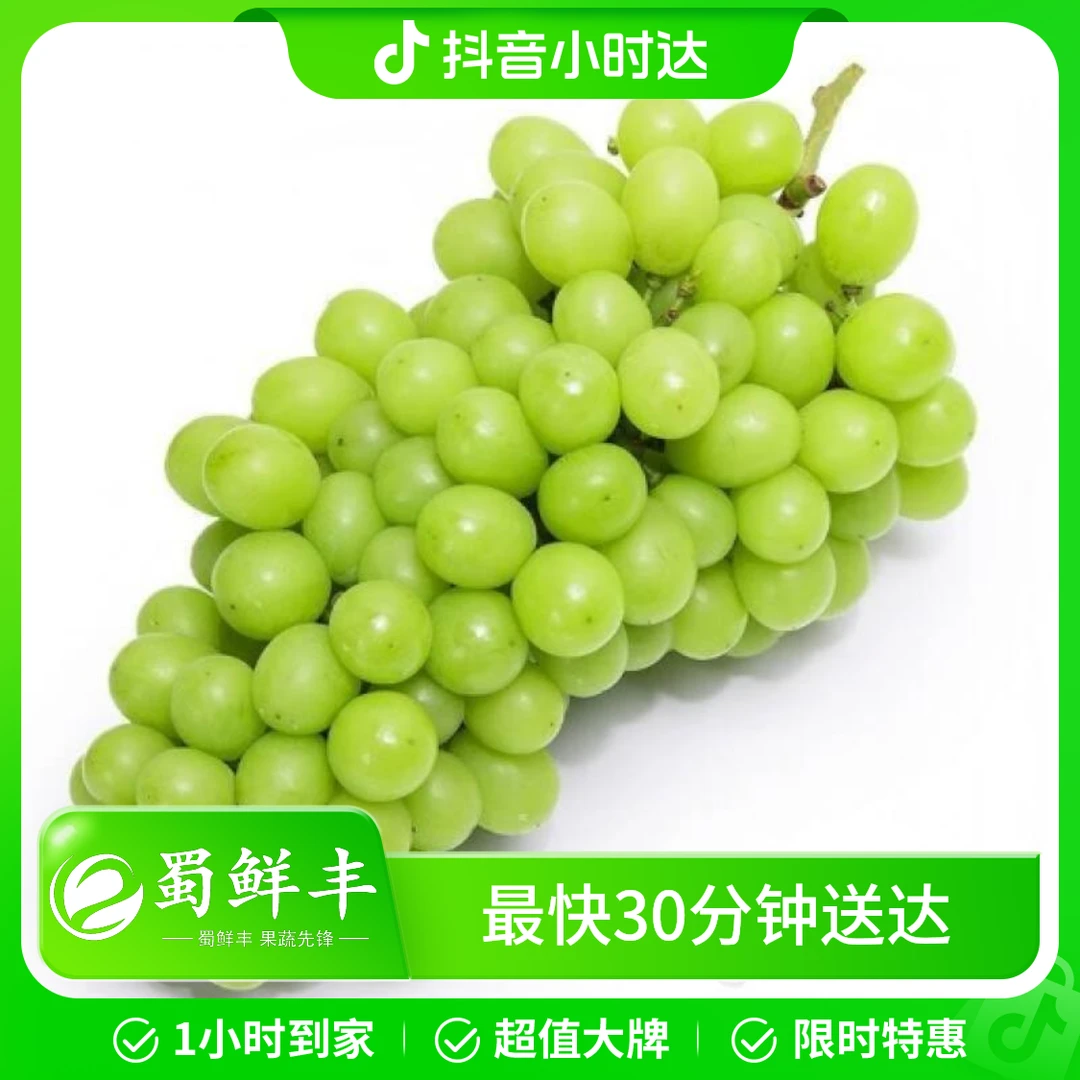 阳光玫瑰青提葡萄 脆甜可口 约750g/份