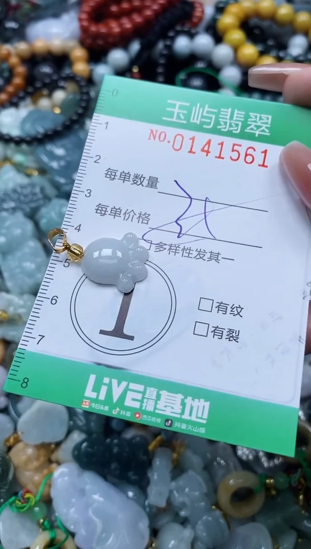 翡翠未镶嵌颈饰闪购0141561多样性发其一