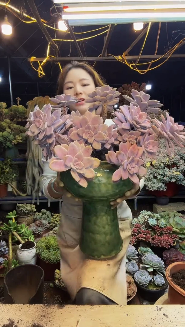 酥*妹华丽风车一物一拍脱土包邮
