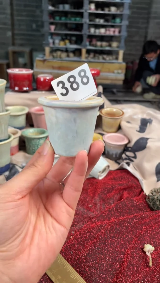 【闪购商品】摆件388知木小芳花盆编号