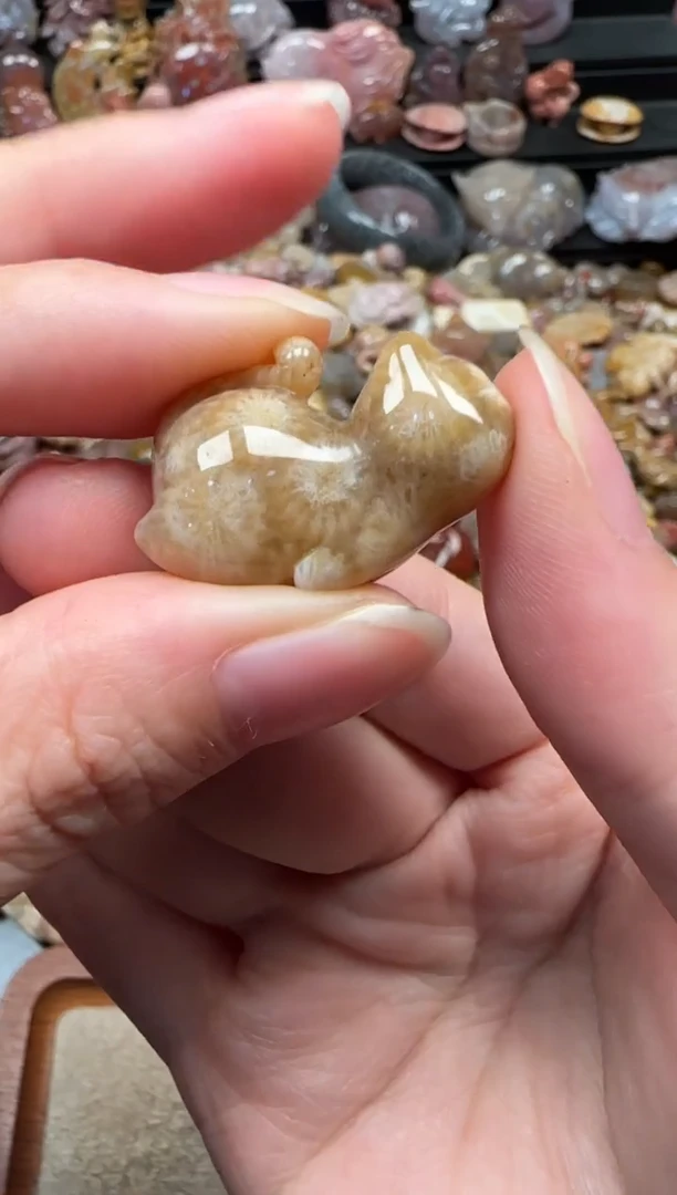 颈饰未镶嵌硅化珊瑚（珊瑚玉）229