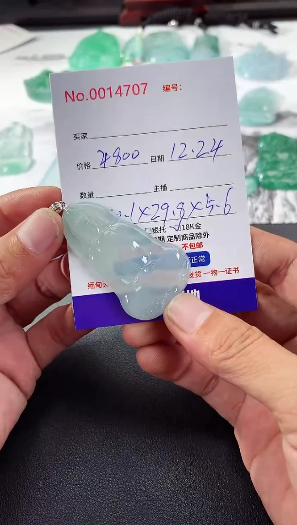 颈饰未镶嵌翡翠素衣