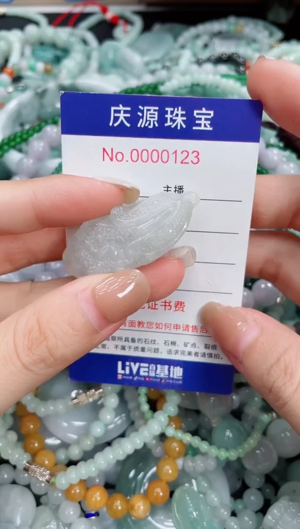 翡翠未镶嵌颈饰176
