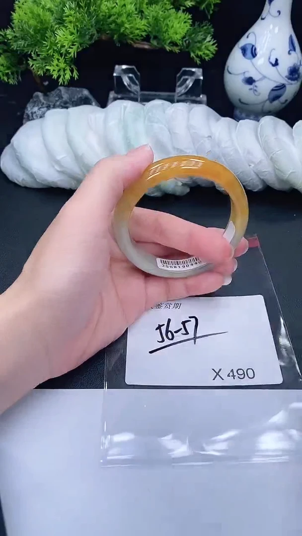 未镶嵌手镯翡翠490