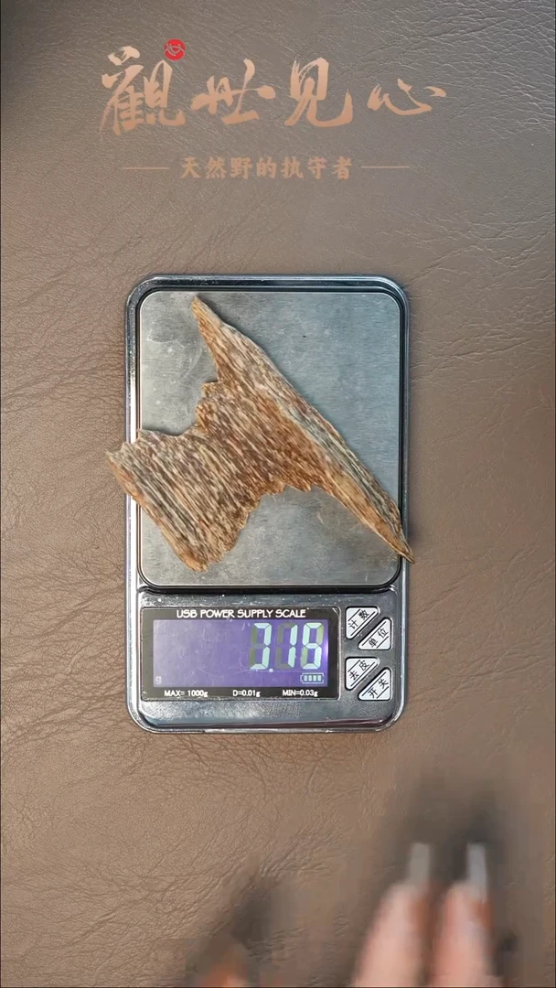 沉香沉香碎屑越南虫漏料    5.55g