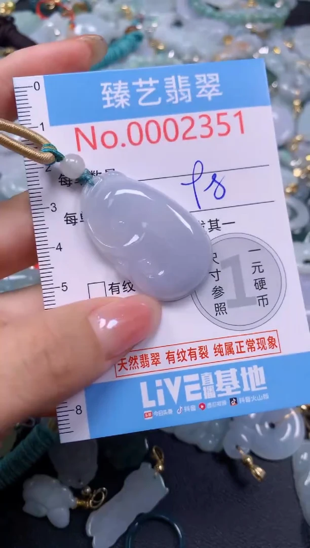 颈饰未镶嵌翡翠2351