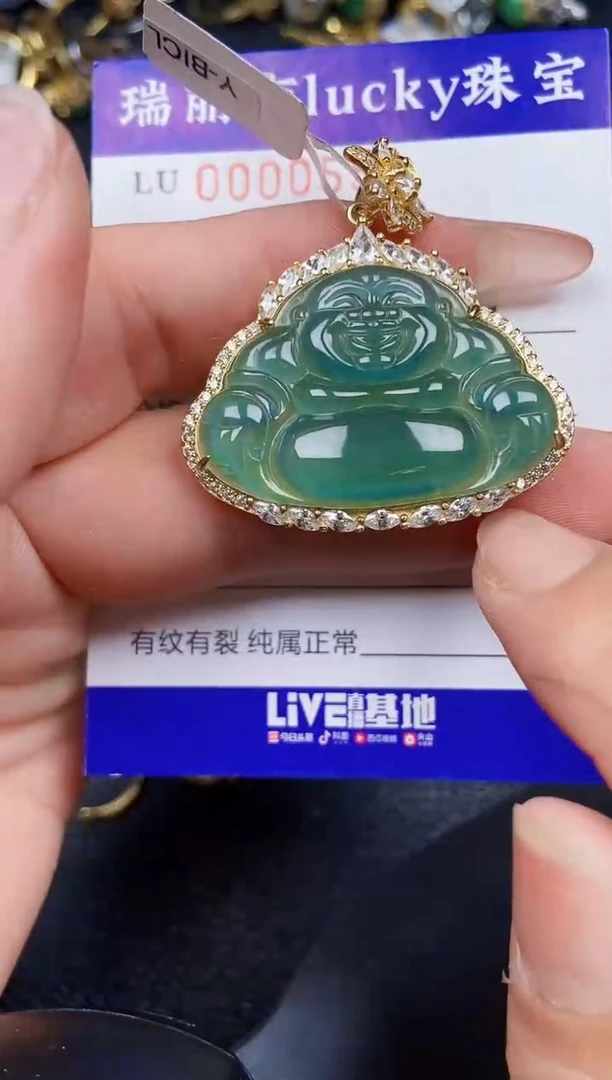 翡翠银S925镶嵌颈饰0558