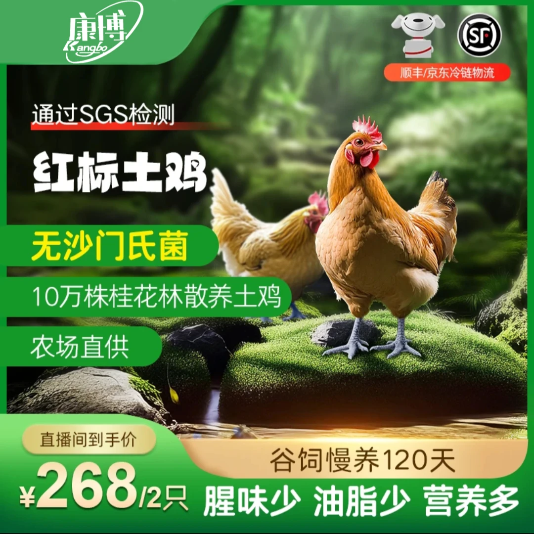 纯谷饲喂养120天青年散养走地鸡新鲜农场直供森林鸡2只装
