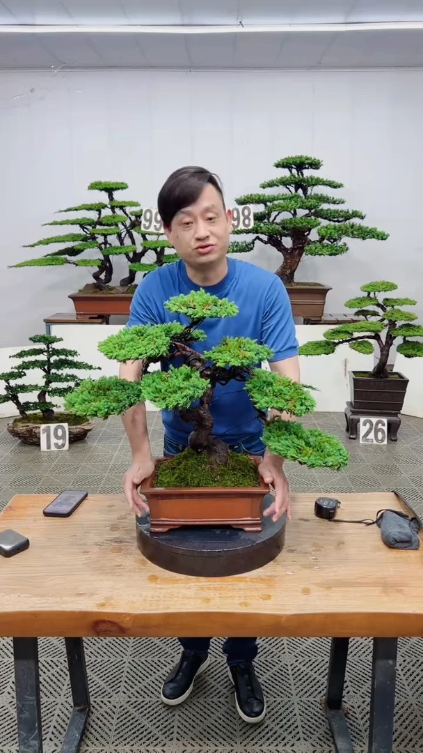 无花朵造型精品一物一拍