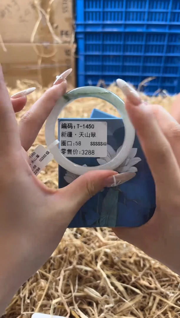 未镶嵌手镯石英质玉T-1450