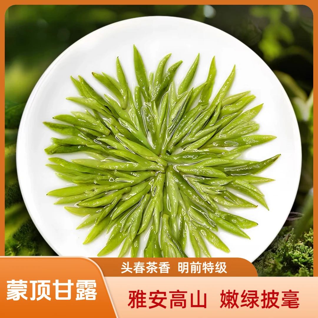 2025明前头采蒙顶甘露茶雅安高山头采芽头明前茶