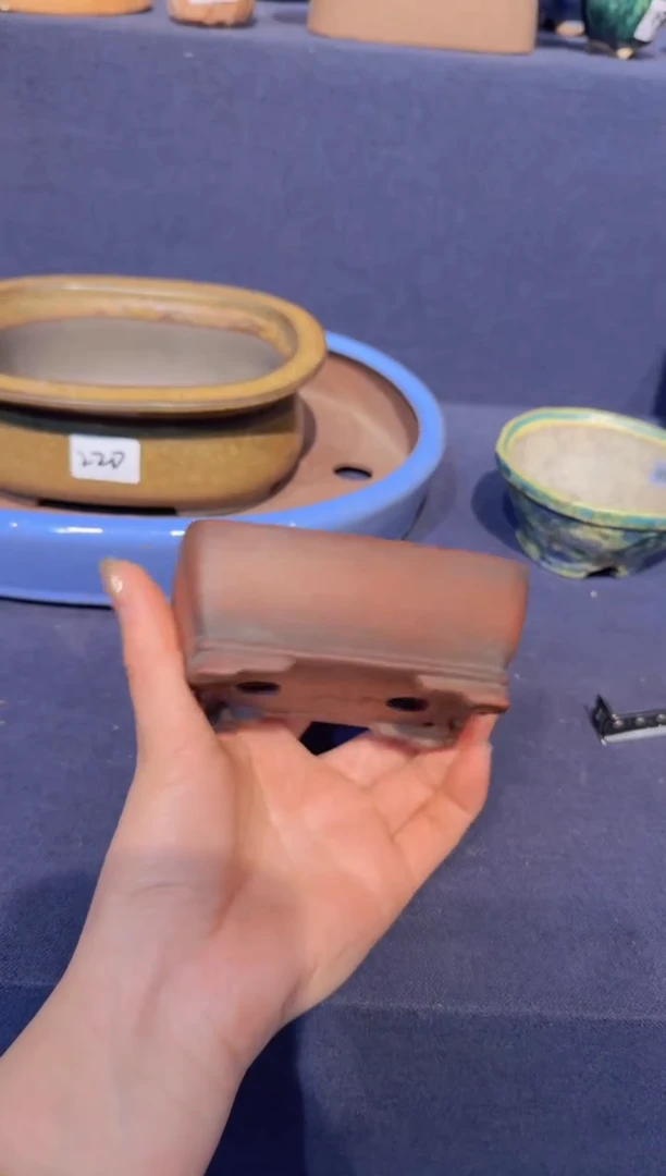 【闪购商品】-美芸-X6