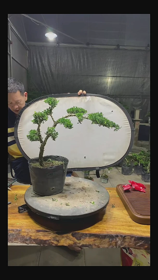 无花朵沐**王11111111111111