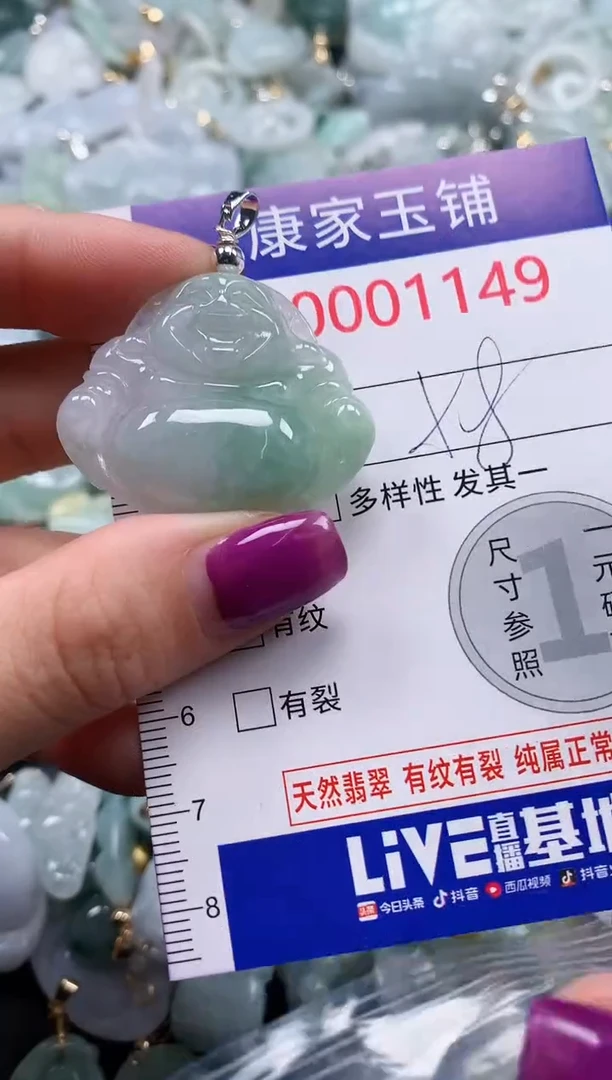 颈饰未镶嵌翡翠1149