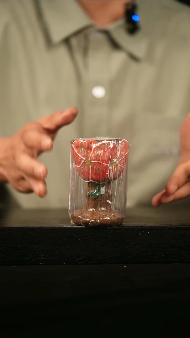 其他345遇瓷手作同款