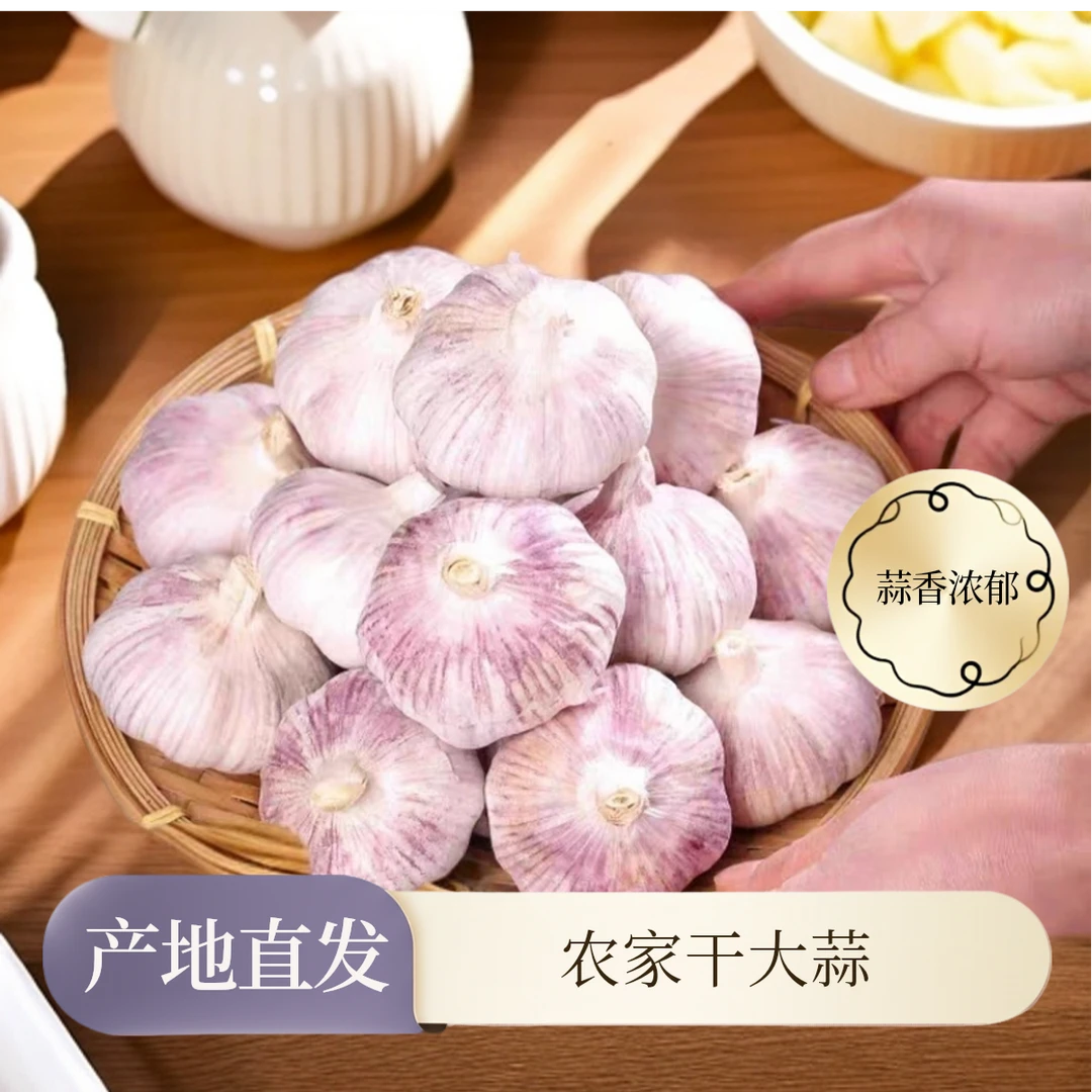 正宗紫白皮干大蒜头蒜瓣大粘辣可用于调味腌制腊八蒜可种植