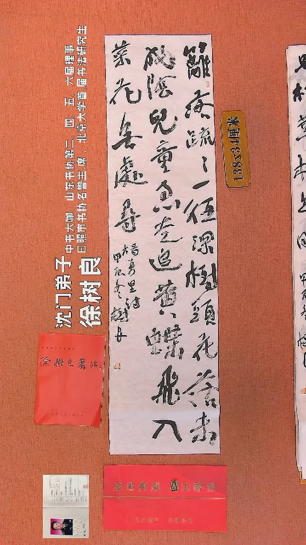 【闪购商品】书法113    徐树良书法作品