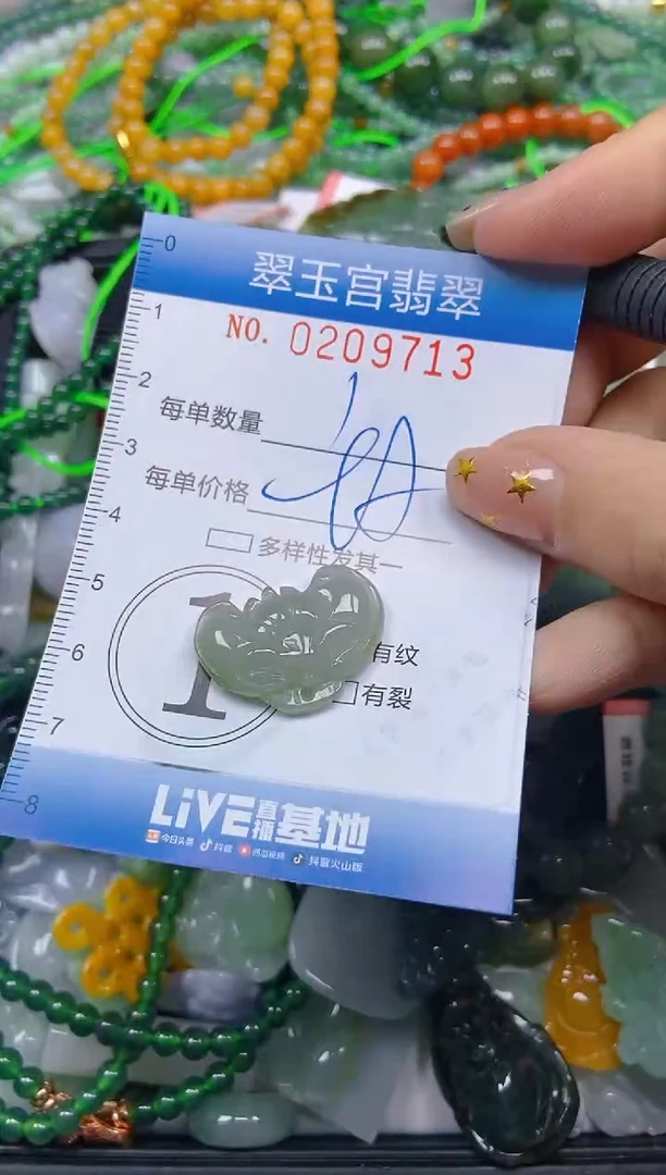 颈饰未镶嵌翡翠闪购C0209713