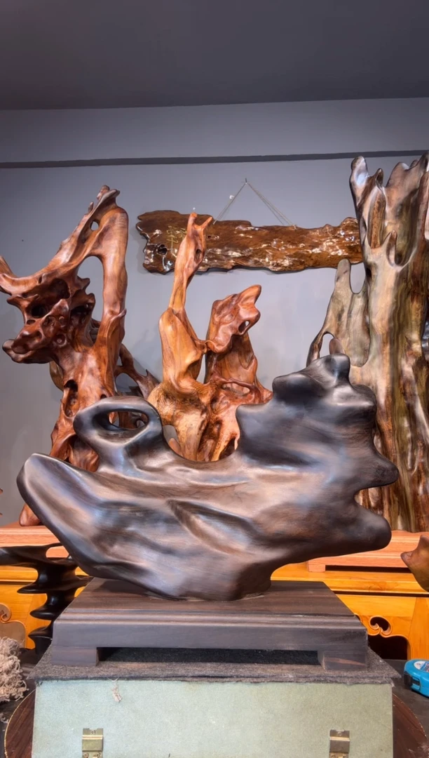 【闪购商品】金丝楠以直播间截图为准