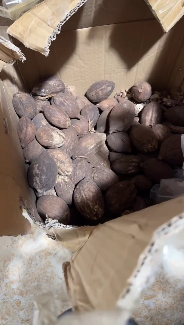 库克手串/手链库克原果多样性发其一