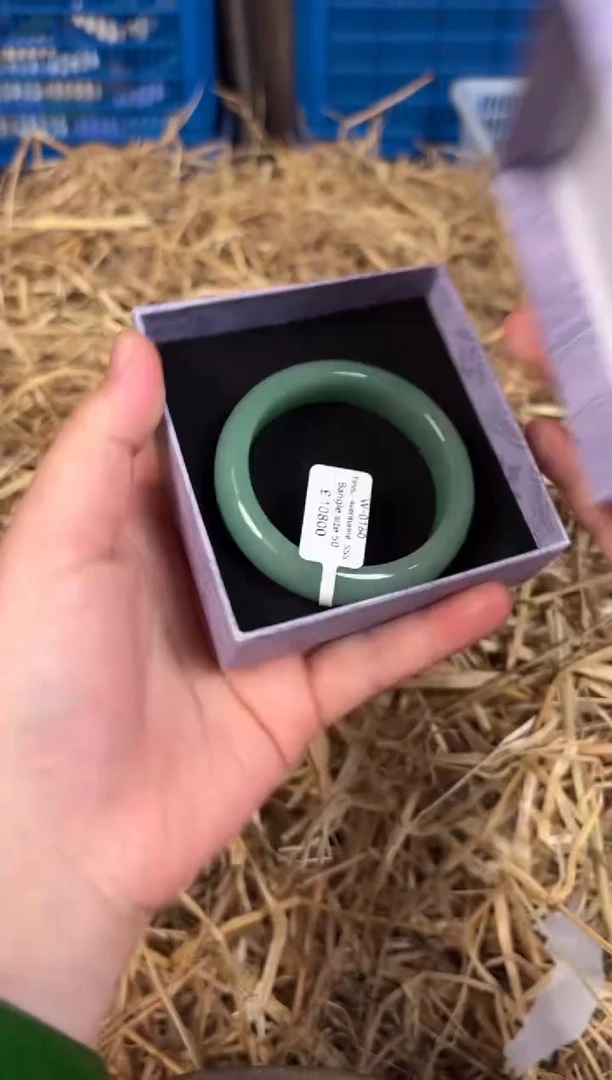 未镶嵌手镯石英质玉编码W-0160