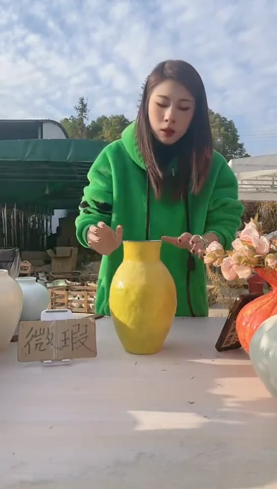 【闪购商品】陶瓷景德镇手工微瑕介意勿拍