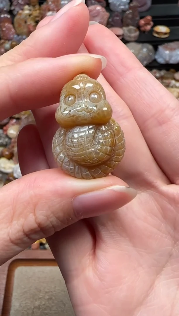 颈饰未镶嵌硅化珊瑚（珊瑚玉）226