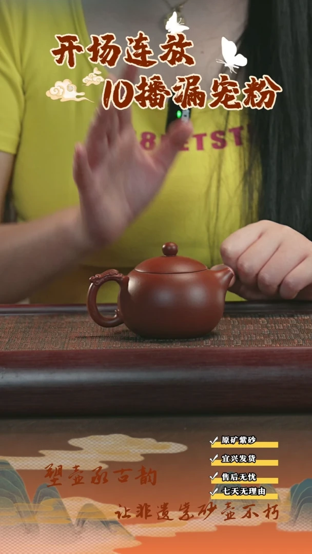 茶壶紫砂宜兴紫砂茶壶龙韵西施