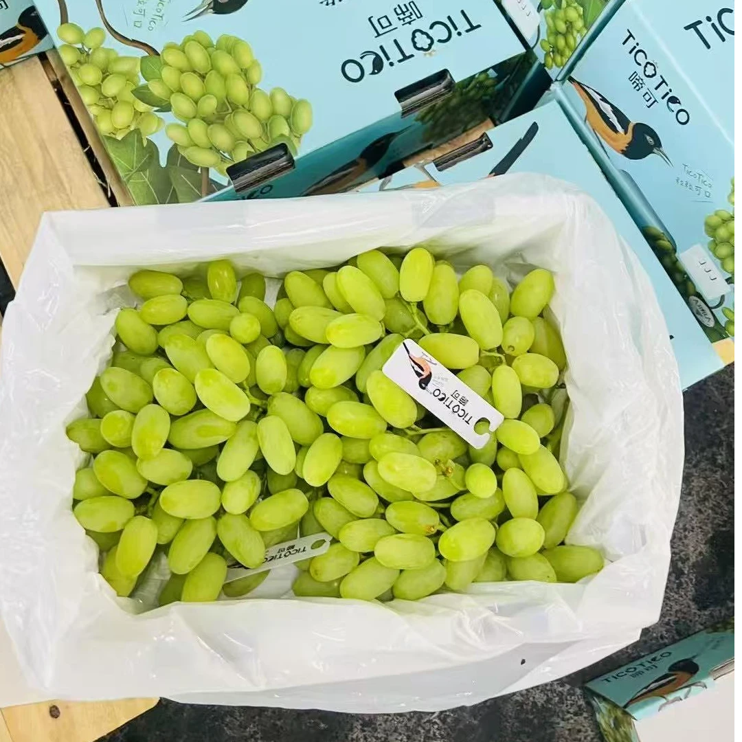 【直播浮力】蜜脆001青提4斤礼盒脆甜多汁 顺丰包邮