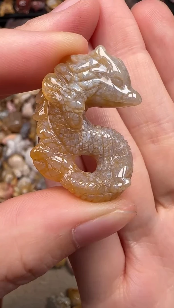 硅化珊瑚（珊瑚玉）未镶嵌颈饰366