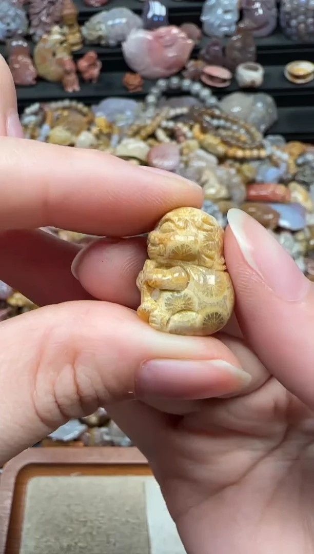 颈饰未镶嵌硅化珊瑚（珊瑚玉）073