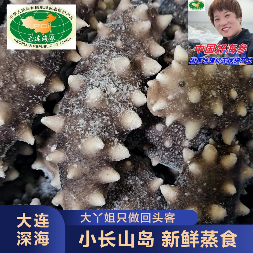 【小长山岛 新鲜蒸食海参】【大连长海县】10-12头/斤 4斤