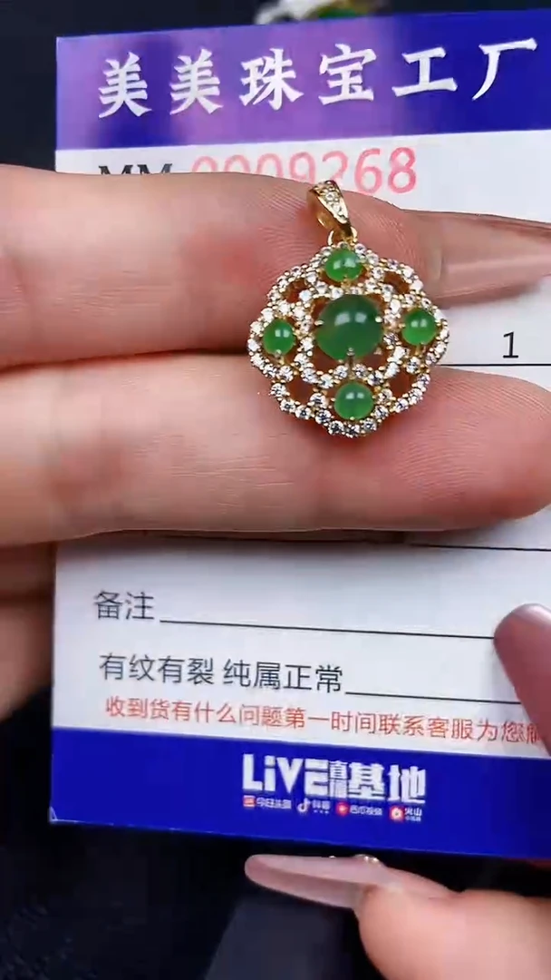翡翠银S925镶嵌颈饰9268