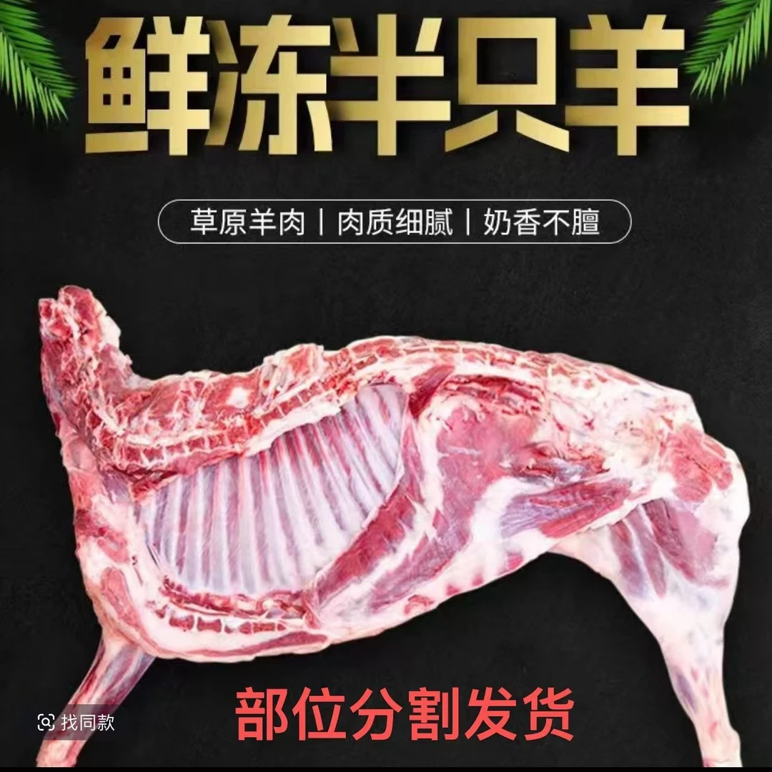 半羊切块不带皮散养羔羊 50%腿排 羊蝎子到手十斤（部位分割发货）1