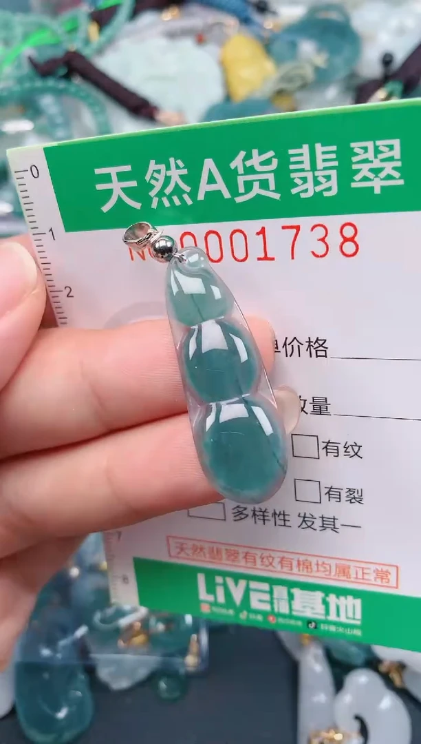颈饰未镶嵌翡翠.0001738