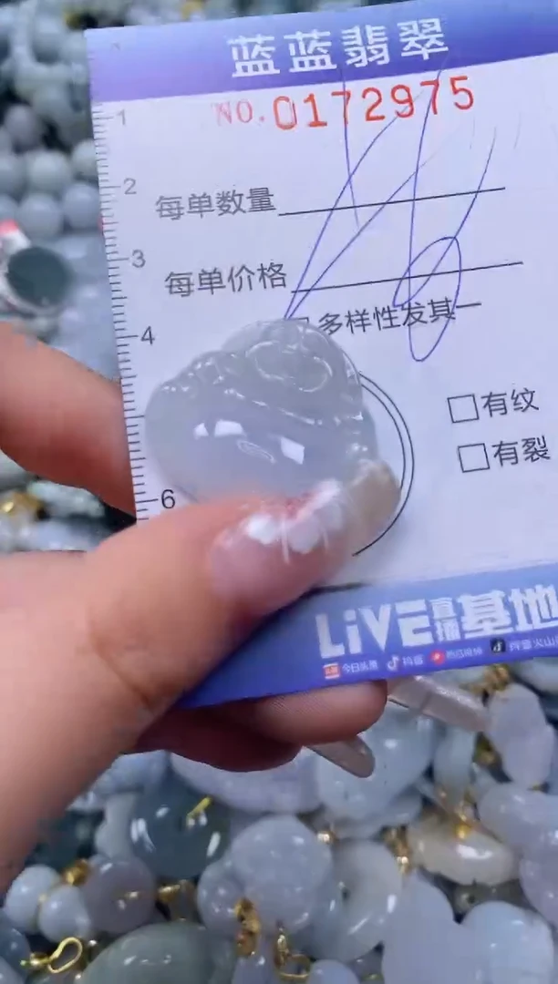 【闪购商品】翡翠颈饰未镶嵌闪购0172975多样性发其一