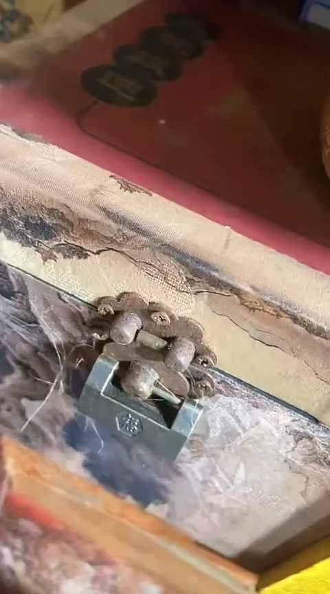 铜锁盒-------(晓晓甄选)
