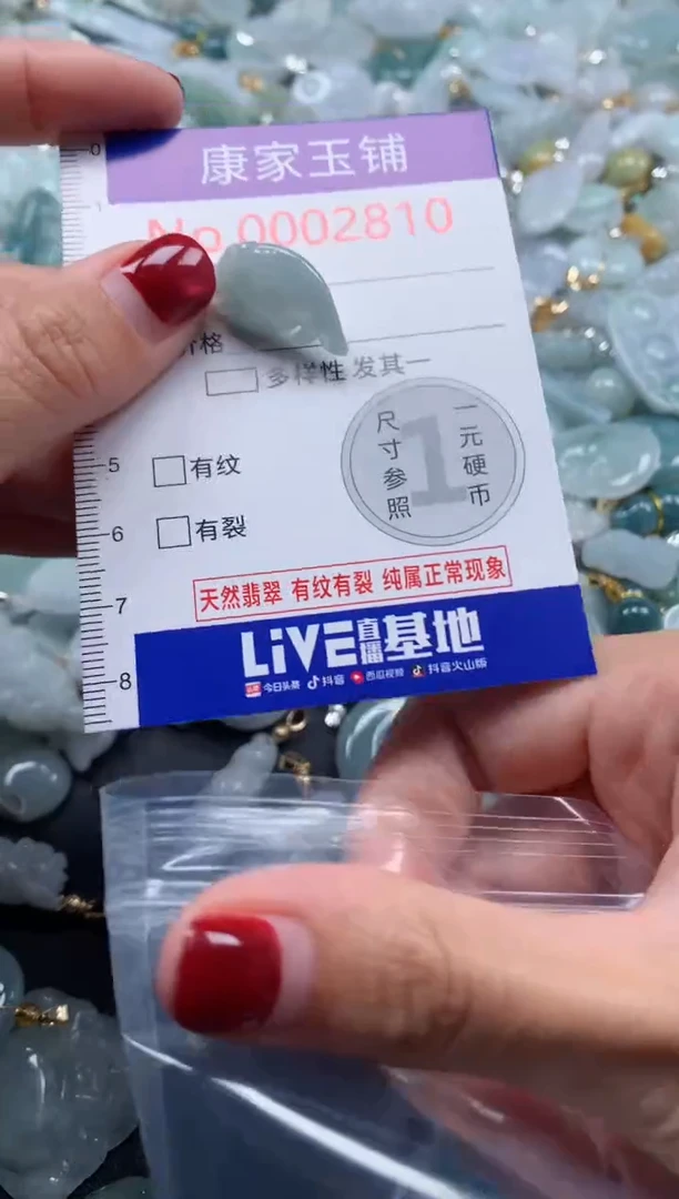 颈饰未镶嵌翡翠2810