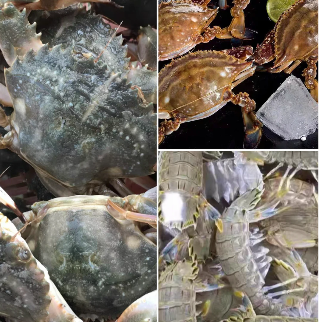 鲜活皮皮虾+梭子蟹+花盖蟹三拼 混搭【保鲜不保活】1-2两左右，1斤5-8只左右