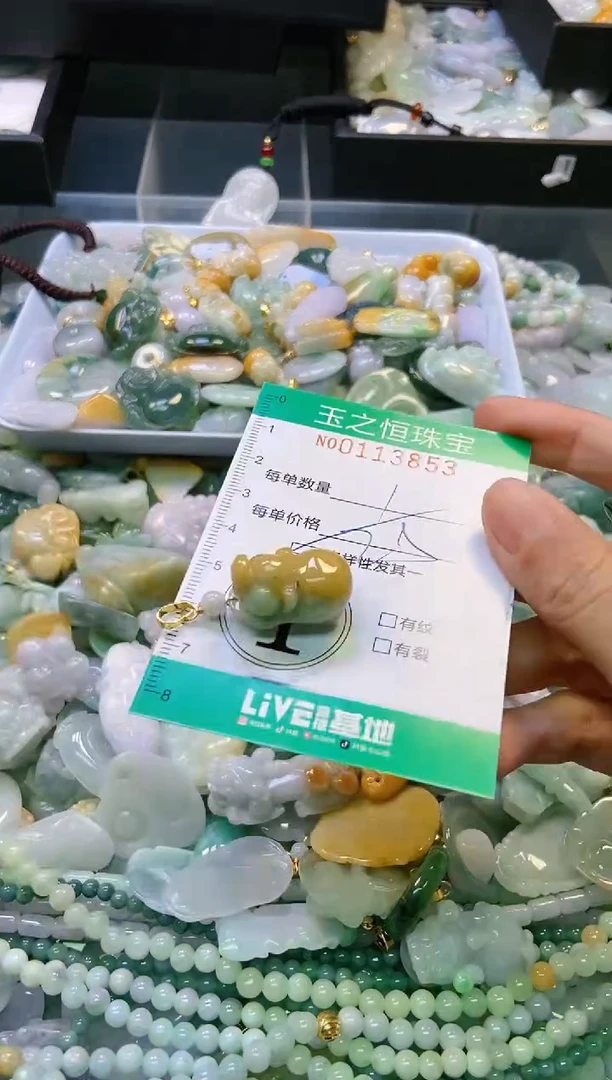 翡翠未镶嵌颈饰闪购0113853