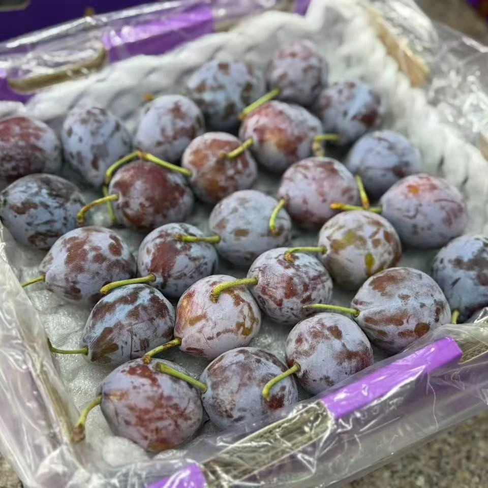 西梅礼盒一箱3斤左右