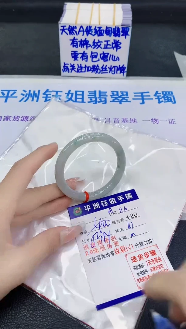 未镶嵌手镯翡翠11111