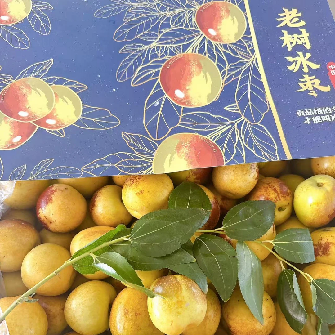 【大唐蜜探老树冰枣】 分装大荔冬枣尝鲜【只发河南省】